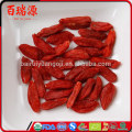 Bayas de Goji orgánicas dulces dulces de las bayas de Goji del vegetariano a granel